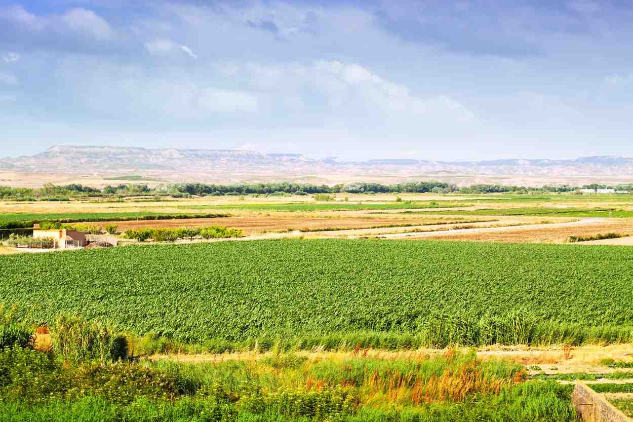 Agriculture land