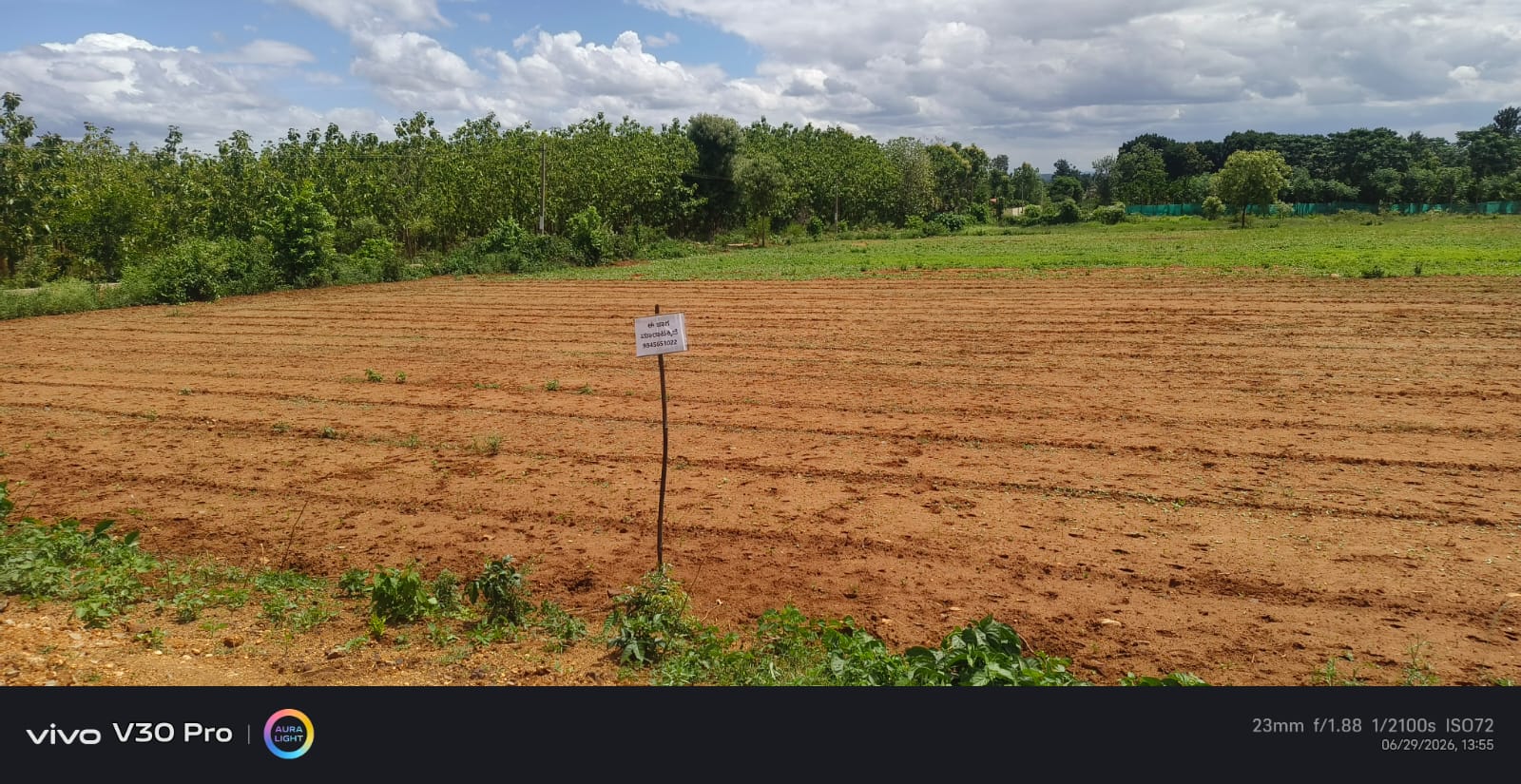 Mandya